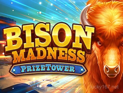 Bison Madness PrizeTower